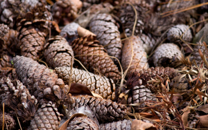 - Learning English Skills With Storytelling Can Be A Great Way For Children To Learn